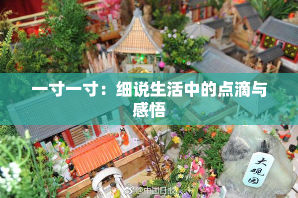 一寸一寸：细说生活中的点滴与感悟