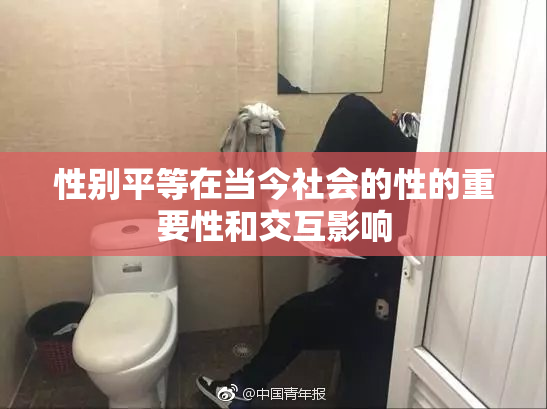性别平等在当今社会的性的重要性和交互影响