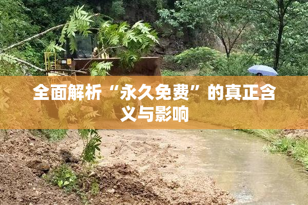 全面解析“永久免费”的真正含义与影响