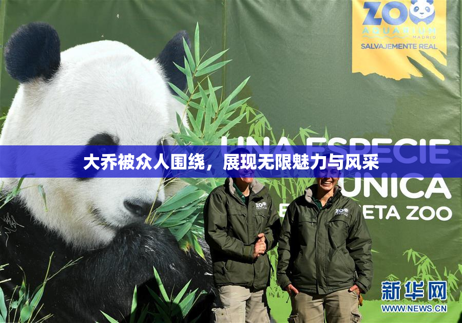大乔被众人围绕，展现无限魅力与风采