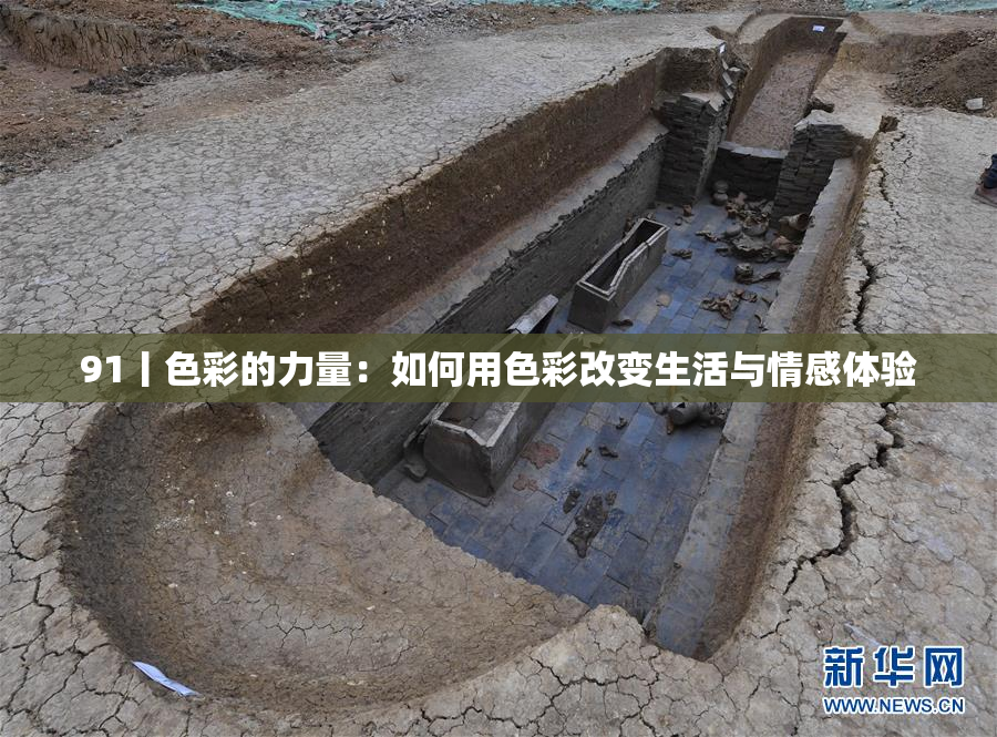 91丨色彩的力量：如何用色彩改变生活与情感体验