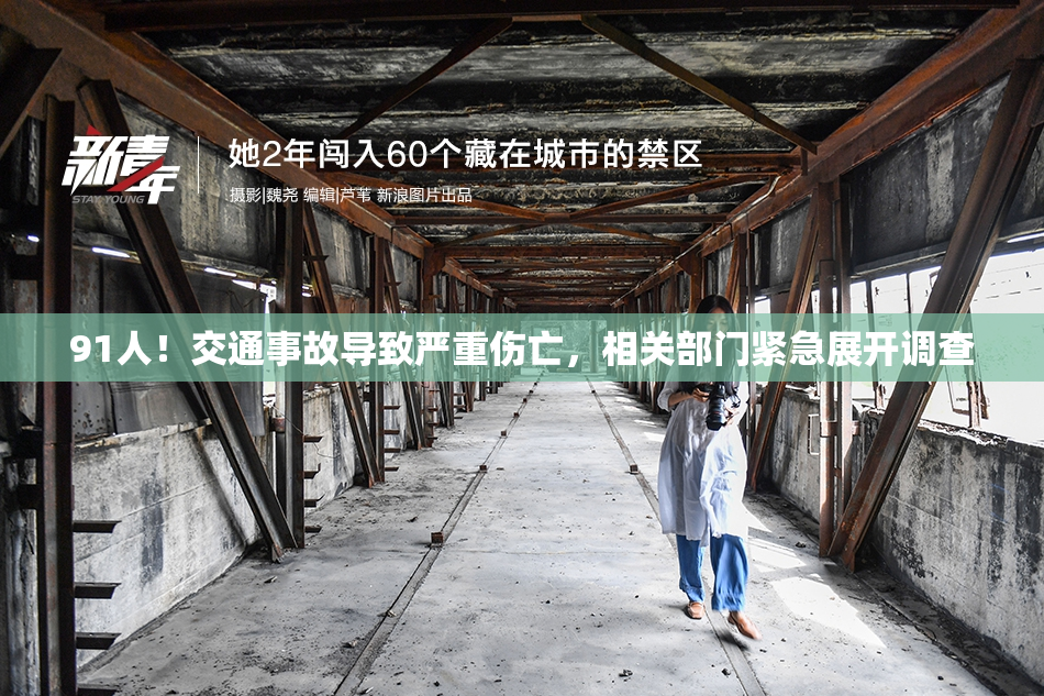 91人！交通事故导致严重伤亡，相关部门紧急展开调查