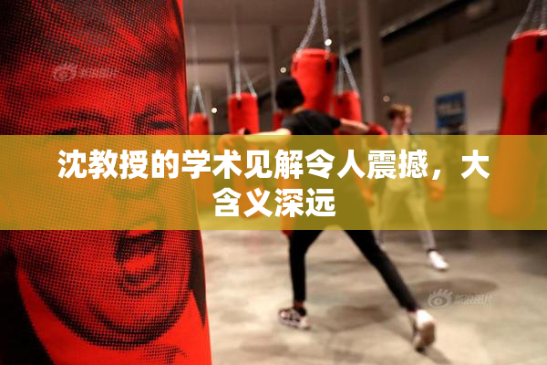 沈教授的学术见解令人震撼，大含义深远
