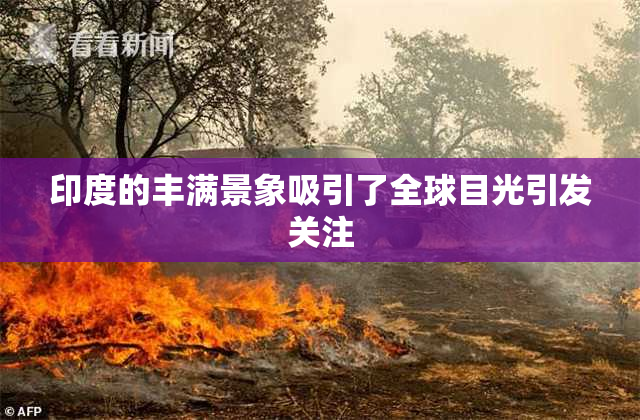 印度的丰满景象吸引了全球目光引发关注