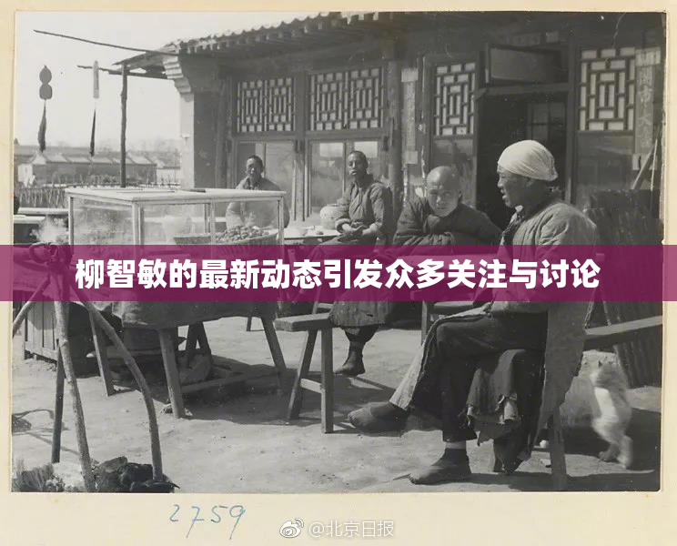 柳智敏的最新动态引发众多关注与讨论