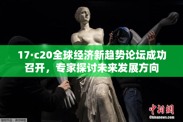 17·c20全球经济新趋势论坛成功召开，专家探讨未来发展方向