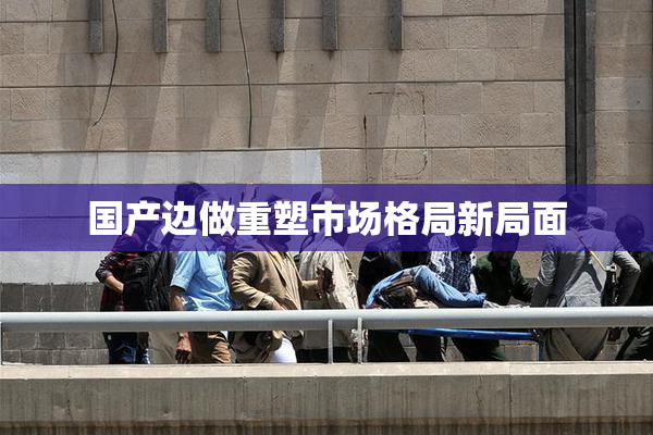 国产边做重塑市场格局新局面