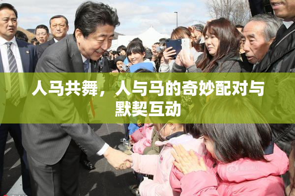 人马共舞，人与马的奇妙配对与默契互动