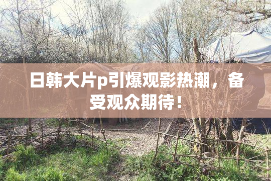 日韩大片p引爆观影热潮，备受观众期待！
