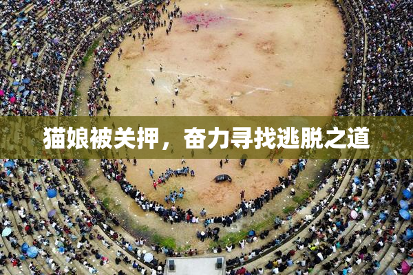 猫娘被关押，奋力寻找逃脱之道