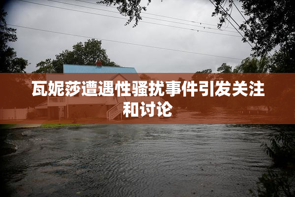 瓦妮莎遭遇性骚扰事件引发关注和讨论