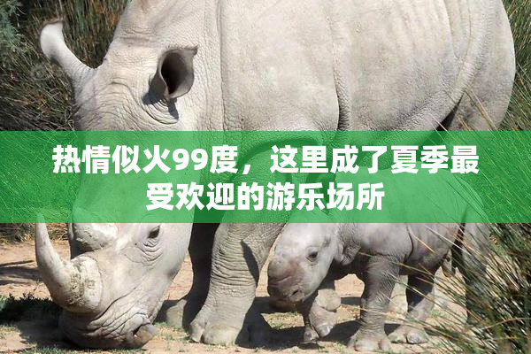 热情似火99度，这里成了夏季最受欢迎的游乐场所