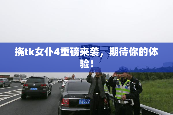 挠tk女仆4重磅来袭，期待你的体验！
