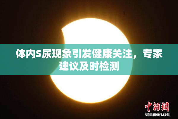 体内S尿现象引发健康关注，专家建议及时检测