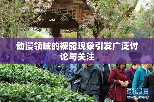 动漫领域的裸露现象引发广泛讨论与关注
