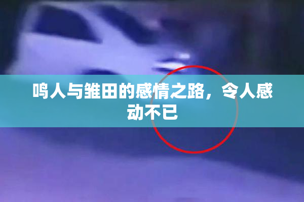 鸣人与雏田的感情之路，令人感动不已