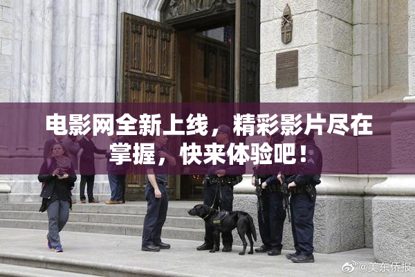电影网全新上线，精彩影片尽在掌握，快来体验吧！