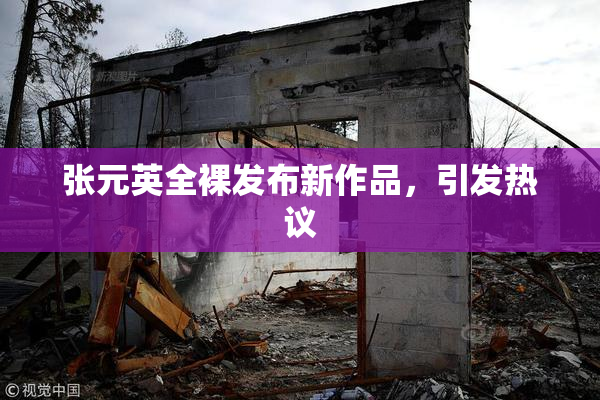 张元英全裸发布新作品，引发热议