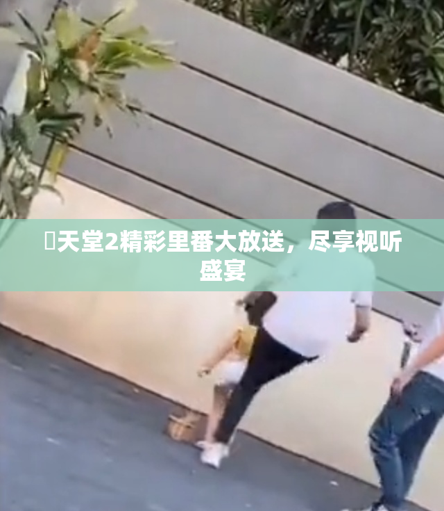 妺天堂2精彩里番大放送，尽享视听盛宴