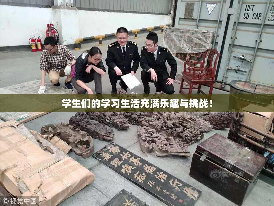 学生们的学习生活充满乐趣与挑战！