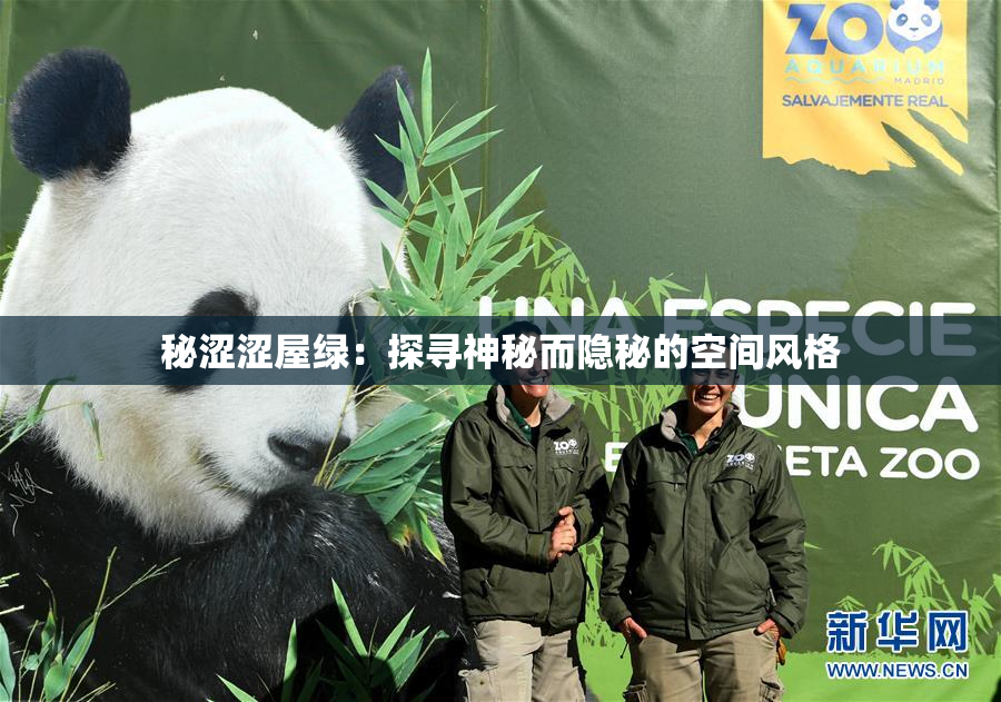 秘涩涩屋绿：探寻神秘而隐秘的空间风格