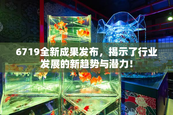 6719全新成果发布，揭示了行业发展的新趋势与潜力！
