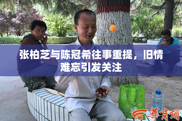 张柏芝与陈冠希往事重提，旧情难忘引发关注