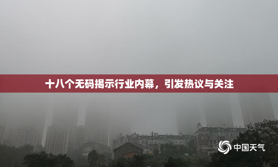 十八个无码揭示行业内幕，引发热议与关注