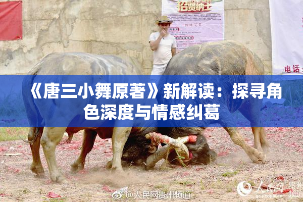《唐三小舞原著》新解读：探寻角色深度与情感纠葛