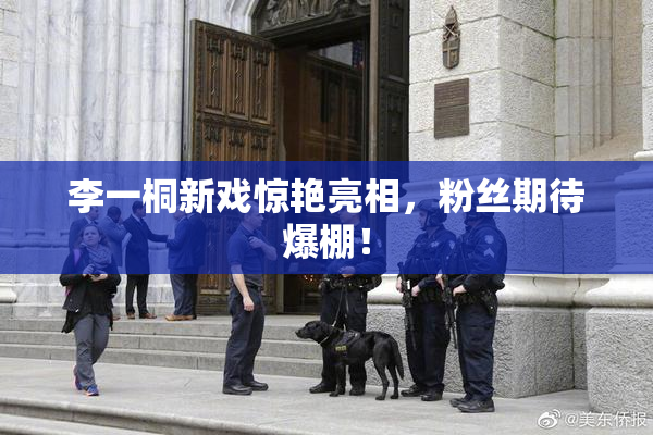 李一桐新戏惊艳亮相，粉丝期待爆棚！