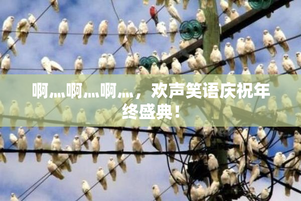 啊灬啊灬啊灬，欢声笑语庆祝年终盛典！