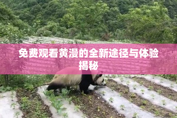 免费观看黄漫的全新途径与体验揭秘
