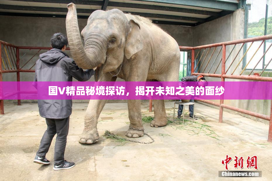 国V精品秘境探访，揭开未知之美的面纱
