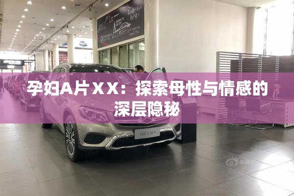 孕妇A片ⅩX：探索母性与情感的深层隐秘