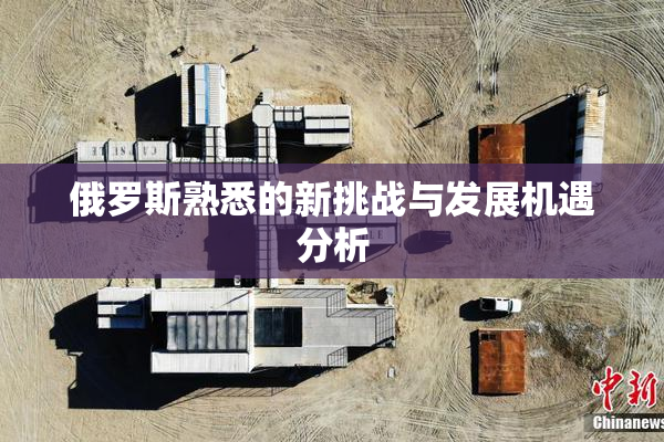 俄罗斯熟悉的新挑战与发展机遇分析