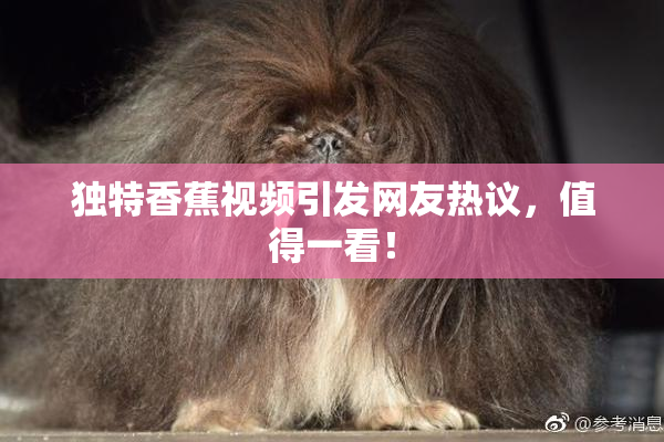 独特香蕉视频引发网友热议，值得一看！