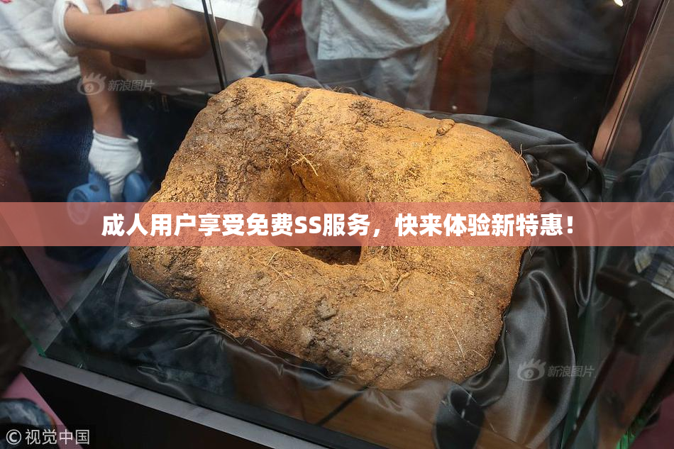 成人用户享受免费SS服务，快来体验新特惠！