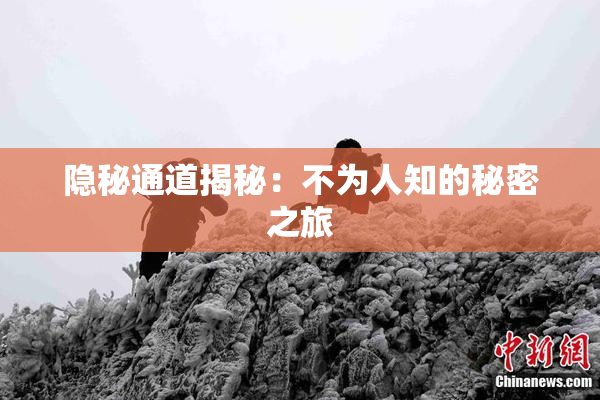 隐秘通道揭秘：不为人知的秘密之旅