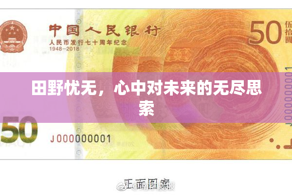 田野忧无，心中对未来的无尽思索