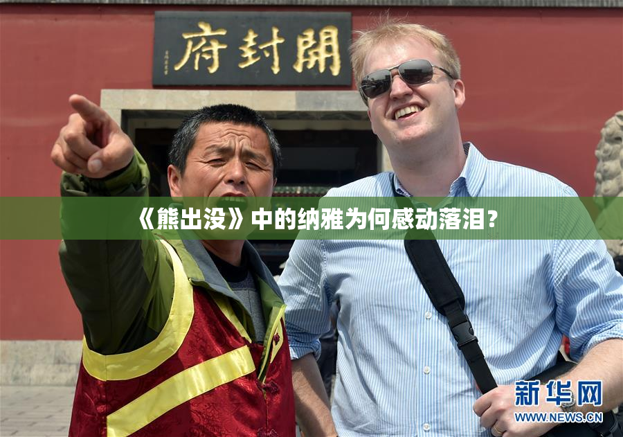 《熊出没》中的纳雅为何感动落泪？