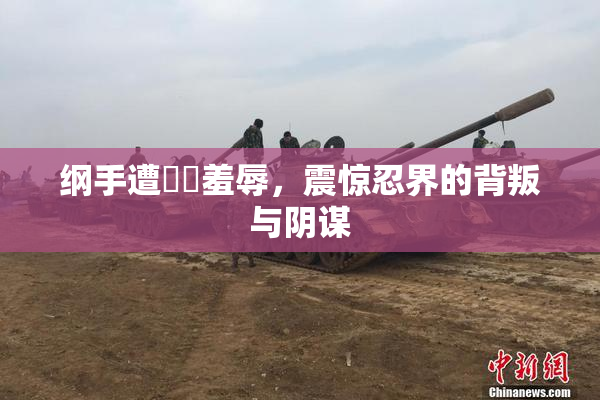 纲手遭❌‌羞辱，震惊忍界的背叛与阴谋