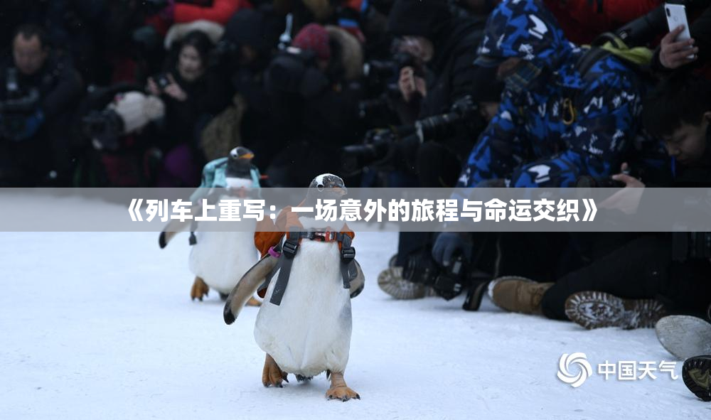 《列车上重写：一场意外的旅程与命运交织》