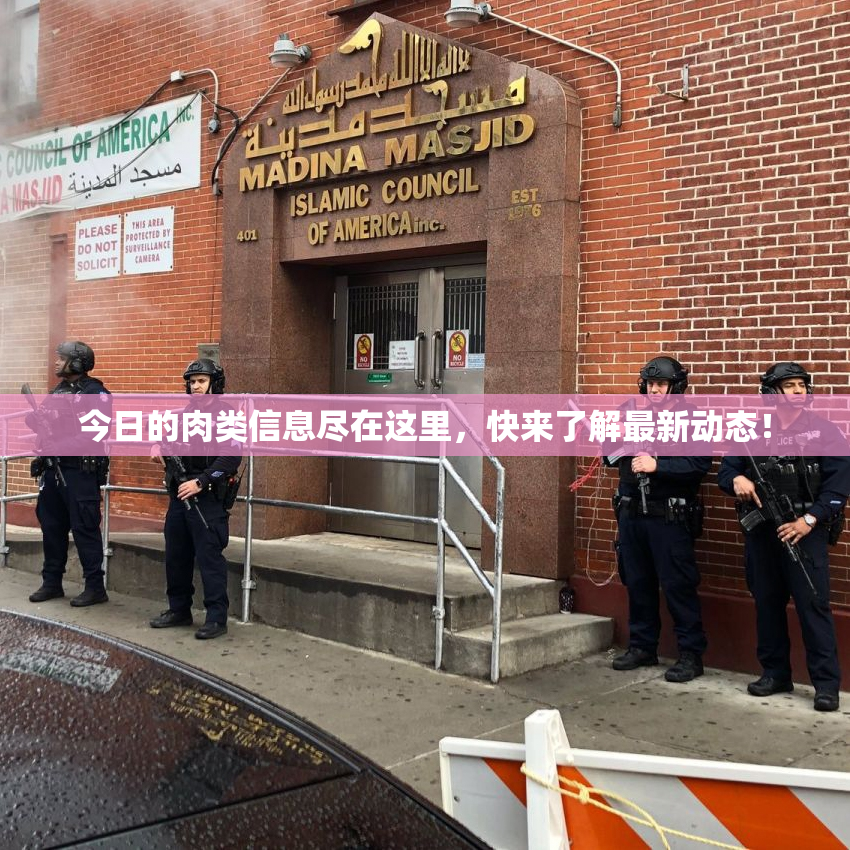 今日的肉类信息尽在这里，快来了解最新动态！