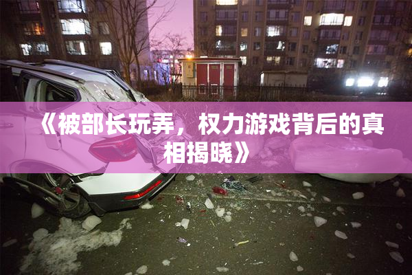 《被部长玩弄，权力游戏背后的真相揭晓》