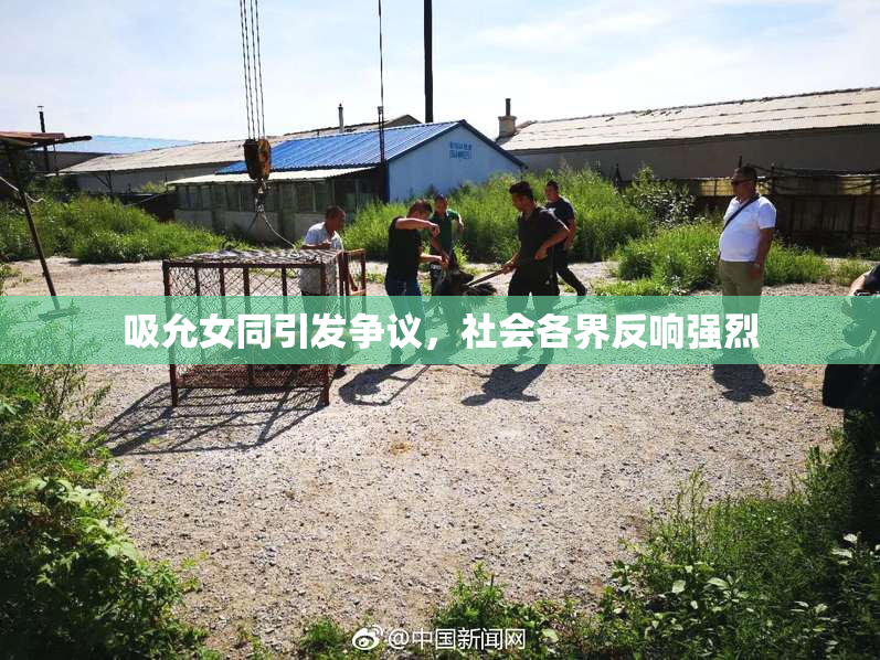 吸允女同引发争议，社会各界反响强烈