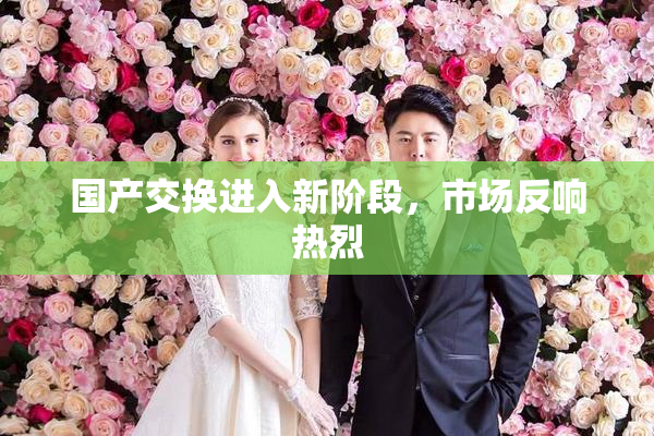 国产交换进入新阶段，市场反响热烈