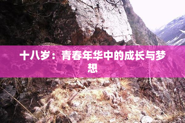 十八岁：青春年华中的成长与梦想