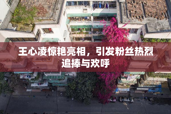 王心凌惊艳亮相，引发粉丝热烈追捧与欢呼