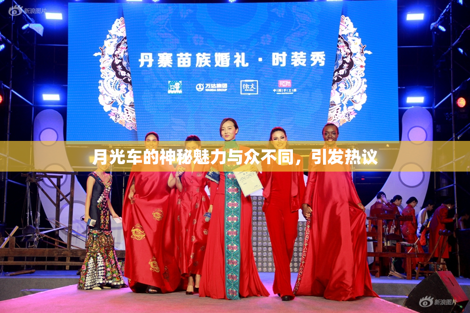 月光车的神秘魅力与众不同，引发热议