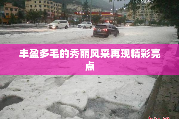 丰盈多毛的秀丽风采再现精彩亮点